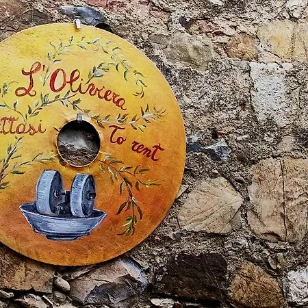 L'oliviera, *