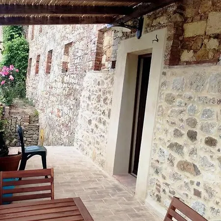 L'oliviera, Pari